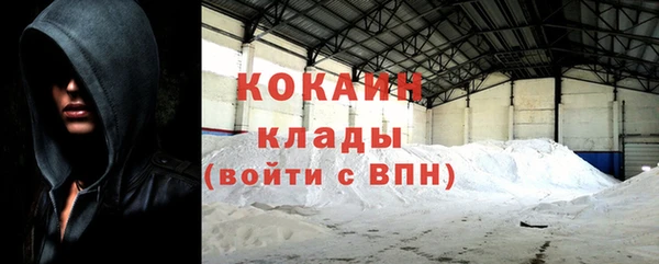 кокс Алексин