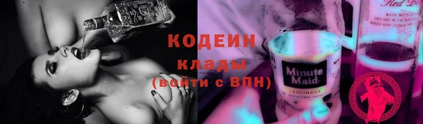 кокс Алексин