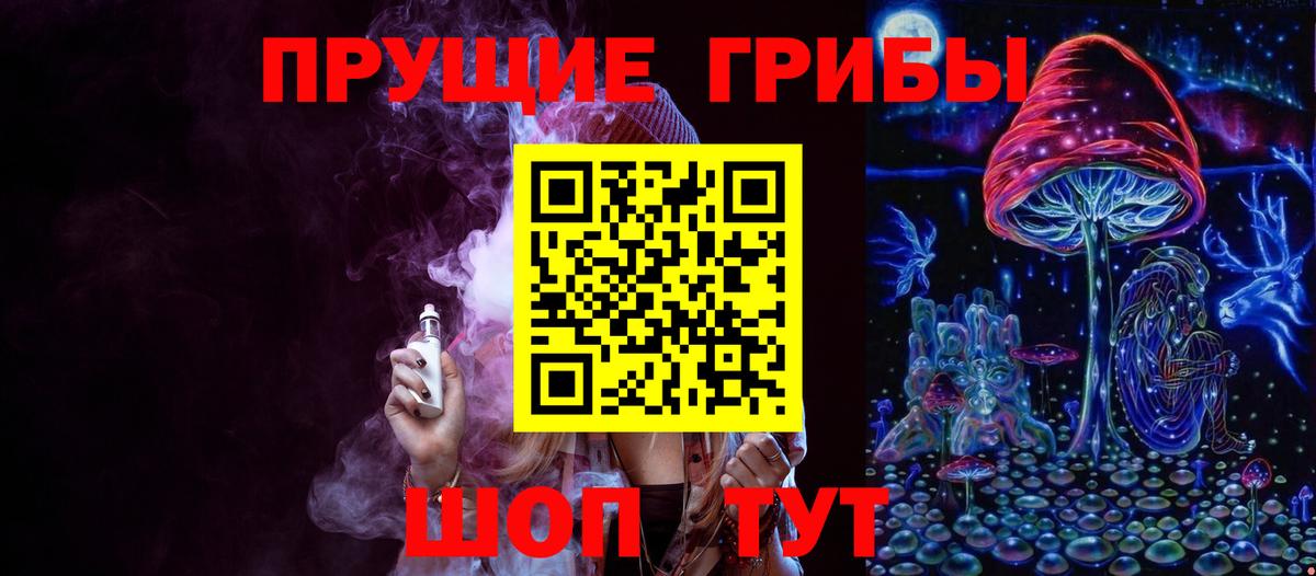 Калач-на-Дону  Псилоцибиновые грибы Psilocybe  Псилоцибиновые грибы мицелий  Вход с VPN 