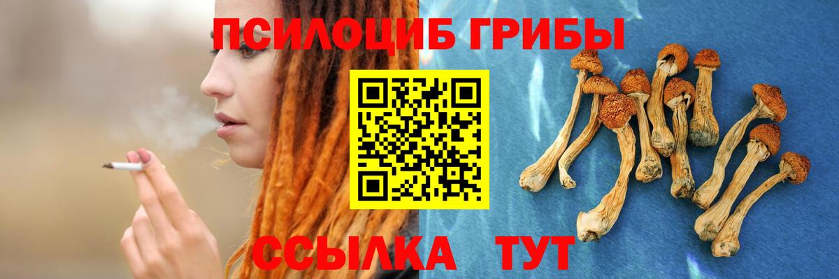 Псилоцибиновые грибы мухоморы Калач-на-Дону